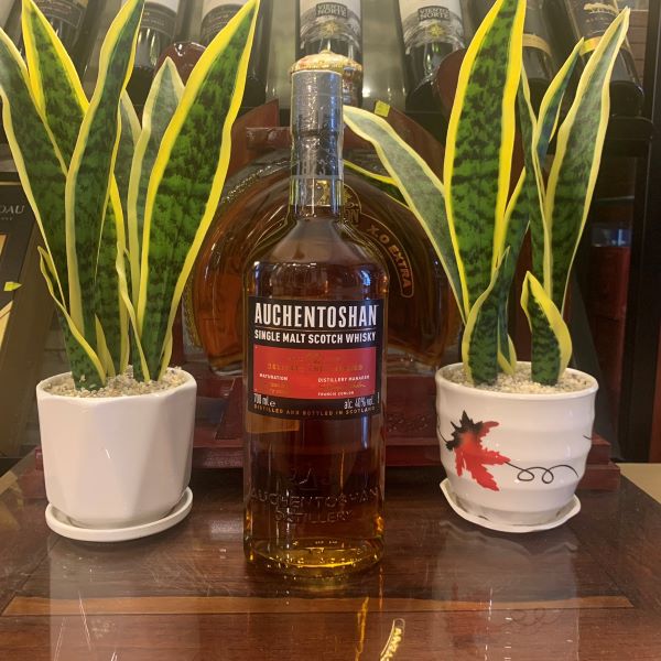 Auchentoshan 12 Năm