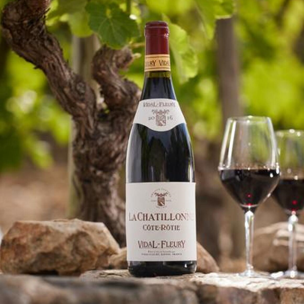 Vidal Fleury La Chatillonne Cote Rotie
